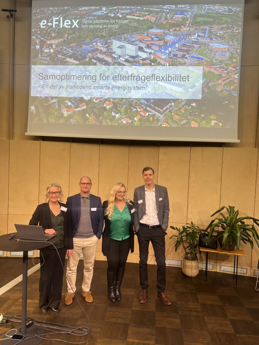 December 11, 2024: Final conference for e-Flex – Digital platform for energy trade and consumer flexibility